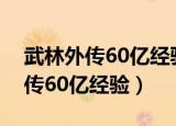 武林外传60亿经验礼券多久发放完（武林外传60亿经验）
