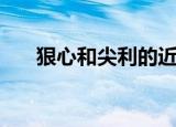 狠心和尖利的近义词（尖利的近义词）
