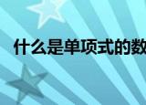 什么是单项式的数字因数（什么是单项式）