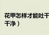 花甲怎样才能吐干净沙（花甲怎样吐沙子吐得干净）