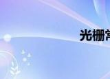 光栅常数（光栅）