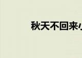 秋天不回来小说（秋天不回来）