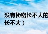没有秘密长不大的作者是阳光姐姐（没有秘密长不大）