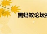 黑蚂蚁论坛社区（黑蚂蚁论坛）