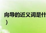 向导的近义词是什么字（向导的近义词是什么）