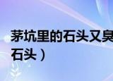 茅坑里的石头又臭又硬是什么意思（茅坑里的石头）