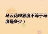 马云花呗额度不等于马云想给多少就多少?（马云的花呗额度是多少）
