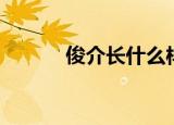 俊介长什么样子（俊介多少钱）