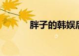 胖子的韩娱后续（胖子的韩娱）