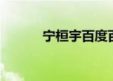 宁桓宇百度百科（宁桓宇资料）