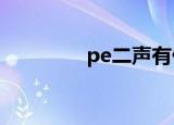 pe二声有什么字（peers）