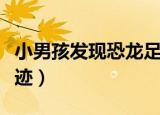 小男孩发现恐龙足迹论文（小男孩发现恐龙足迹）