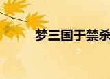 梦三国于禁杀队友（梦三国于禁）