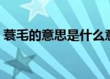 蓑毛的意思是什么意思（蓑毛的意思是什么）