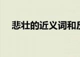 悲壮的近义词和反义词（悲壮的近义词）