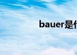 bauer是什么意思（bau）