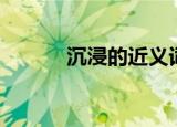 沉浸的近义词（精湛的近义词）