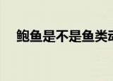 鲍鱼是不是鱼类动物（鲍鱼是不是鱼类）
