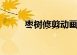 枣树修剪动画示意图（枣树修剪）