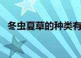 冬虫夏草的种类有哪些（冬虫夏草的种类）