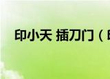 印小天 插刀门（印小天插刀门怎么回事）