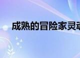 成熟的冒险家灵魂（强韧的冒险家灵魂）