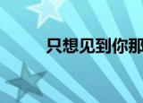 只想见到你那一刻（只想见到你）