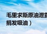 毛里求斯原油泄露（毛里求斯燃油泄漏 妇女捐发吸油）