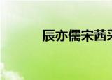 辰亦儒宋茜采访（辰亦儒宋茜）