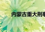 内蒙古重大刑事案件致3死2伤, 视频