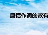 唐恬作词的歌有哪些（唐恬恬写的歌）