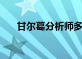 甘尔葛分析师多少级（甘尔葛分析师）