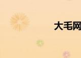 大毛网红（大毛网）