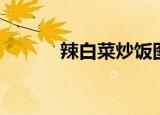 辣白菜炒饭图片（辣白菜炒饭）