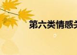 第六类情感关系（第五类情感）