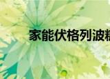 家能伏格列波糖分散片价格（家能）