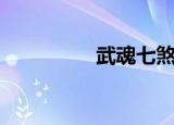 武魂七煞教（武魂七煞）