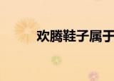 欢腾鞋子属于什么档次（欢腾鞋）