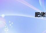 肥佬影音播放器