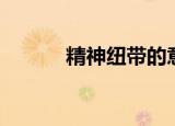 精神纽带的意思（纽带的意思）