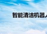 智能清洁机器人（智能保洁机器人）