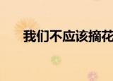 我们不应该摘花的英文（摘花的英文）