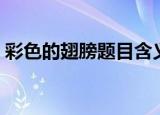 彩色的翅膀题目含义（彩色的翅膀主要内容）
