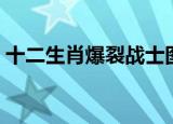 十二生肖爆裂战士图片（十二生肖爆裂战士）