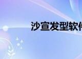 沙宣发型软件（沙宣美发工具）