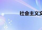 社会主义文化大发展大繁荣