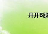 开开B股票（开开b股）