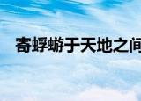 寄蜉蝣于天地之间,渺沧海之一粟什么意思