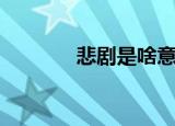 悲剧是啥意思（悲剧的意思）