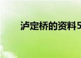 泸定桥的资料50字（泸定桥的资料）